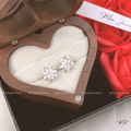 Crystal Snowflake Earrings – S925 Silver